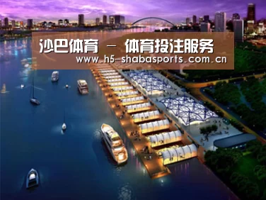 案例展示八(图1)