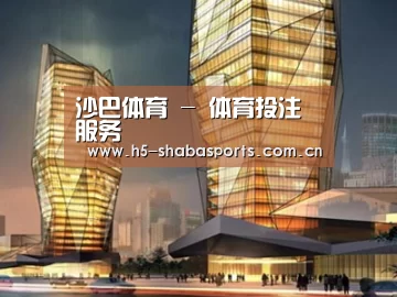 案例展示三