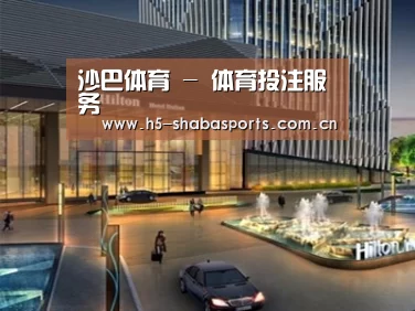 案例展示二