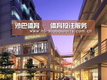 案例展示一