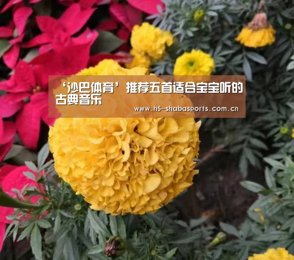 ‘沙巴体育’推荐五首适合宝宝听的古典音乐(图3) 沙巴体育app