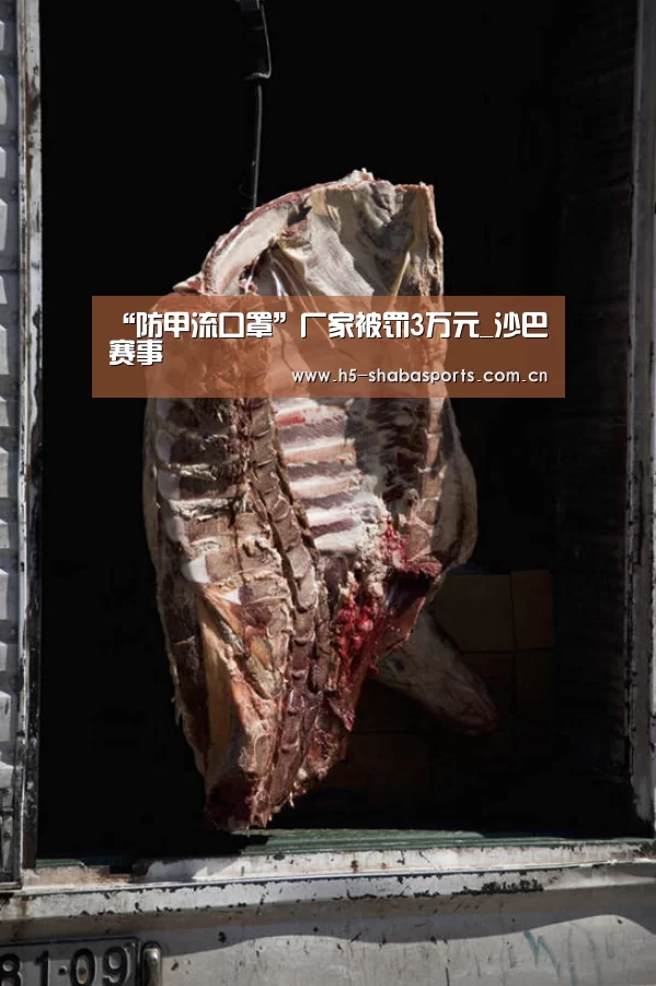 “防甲流口罩”厂家被罚3万元_沙巴赛事(图3) 沙巴体育官网